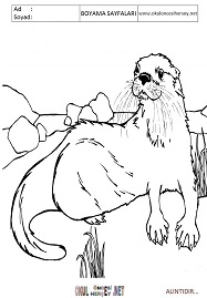 Su-Samuru boyama sayfaları